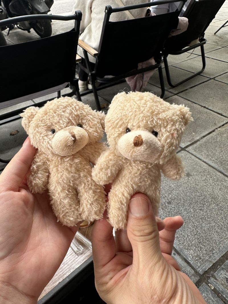 Kla with cherry blossoms